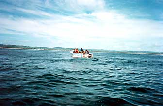 Dive boat at sea