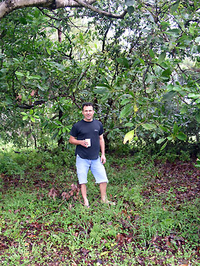 Simon in the avocado shade