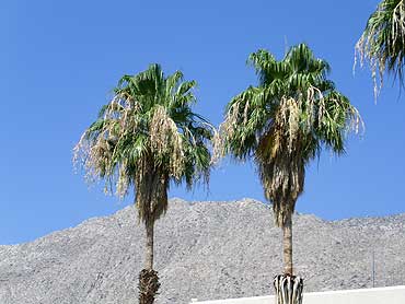 Palm Springs skyline