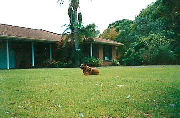 Deb's dream house